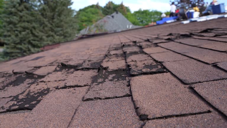 Best Skylight Installation and Repair  in , RI